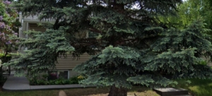 4915 Brockington Rd NW